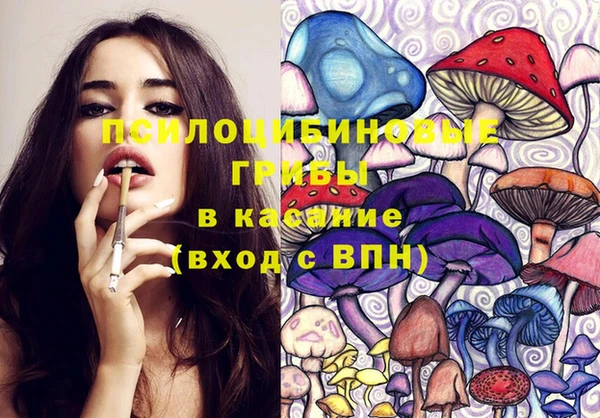 a pvp Медногорск