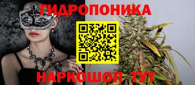 a pvp Аргун