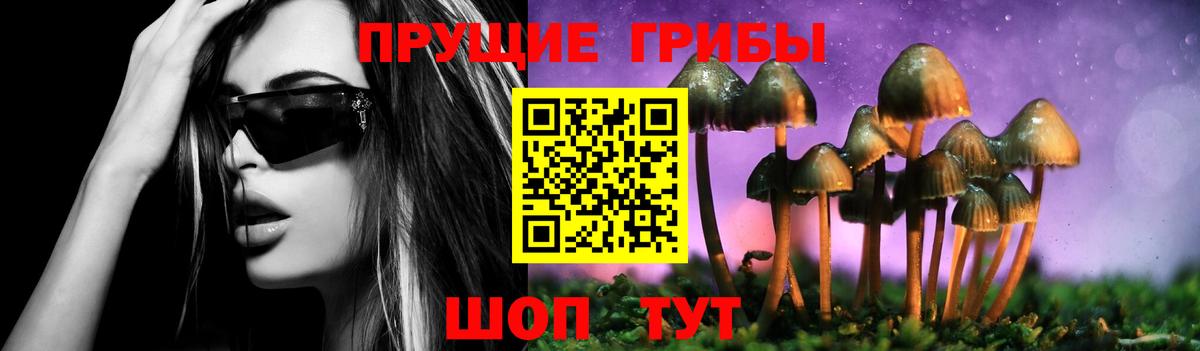 Псилоцибиновые грибы мицелий Белореченск